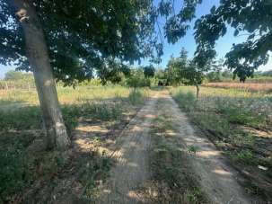 Vendita Terreno, Carinaro Vendita Terreno, Carinaro