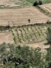 Vendita Monovano, San Leo Vendita Monovano, San Leo