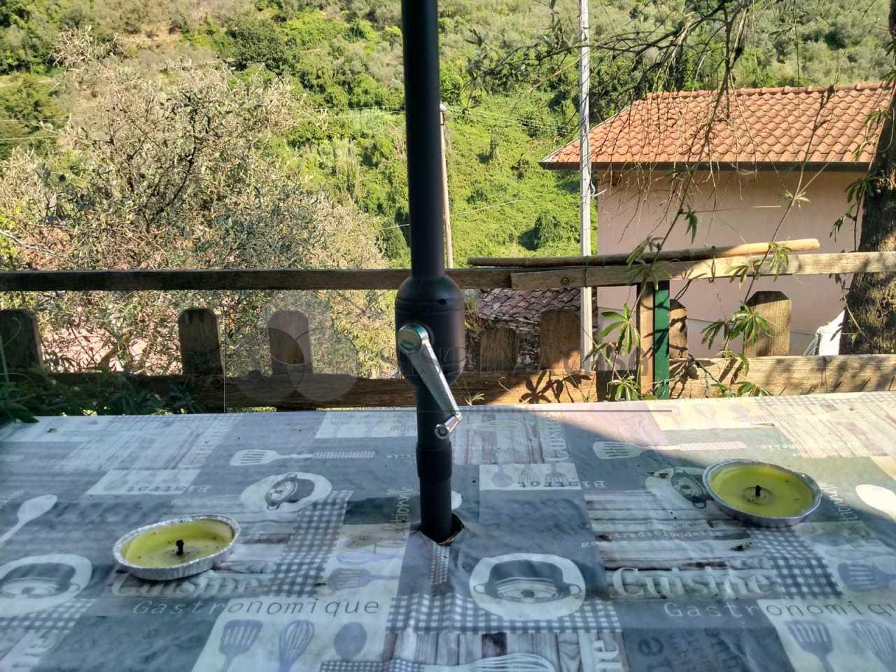 Vendita Quadrivani, Luni foto