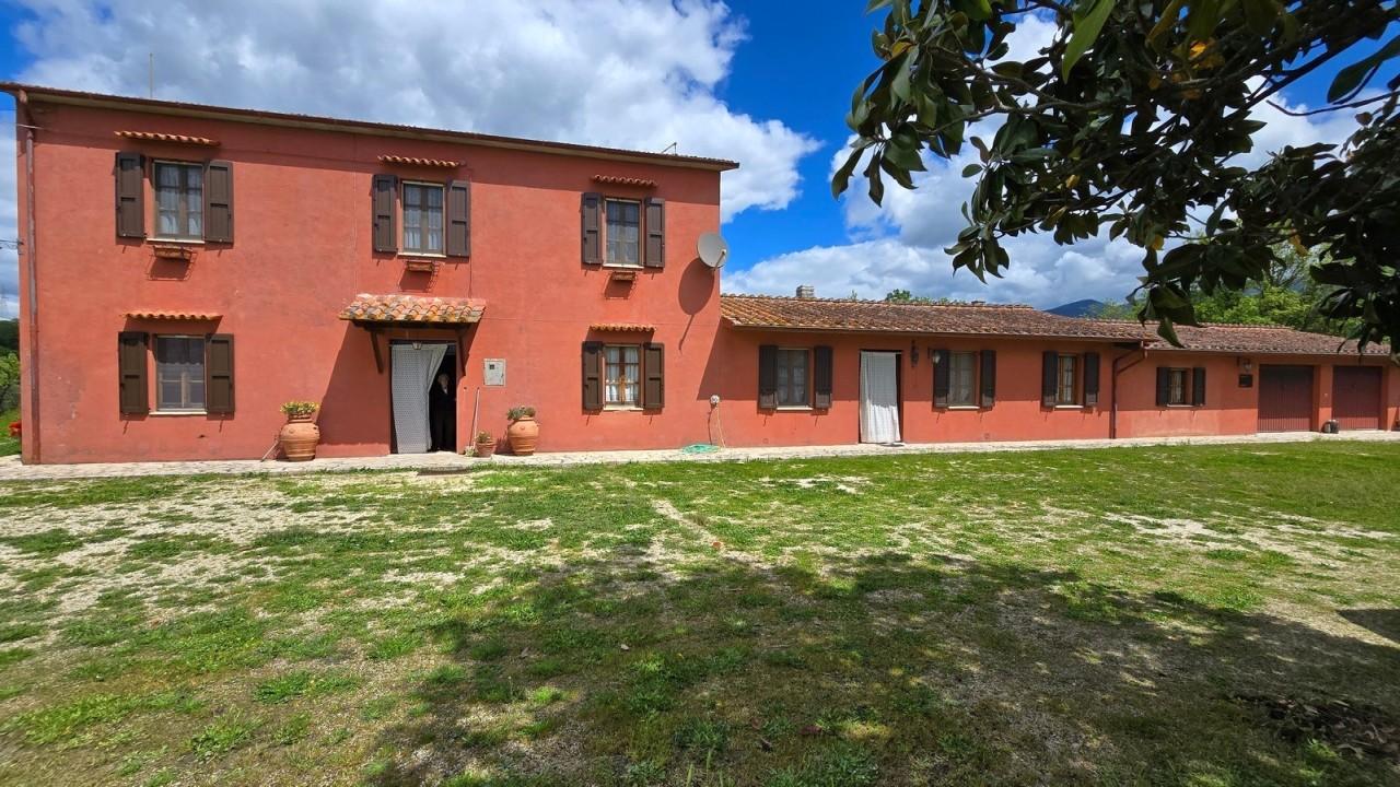 Vendita Multivani, Montecchio foto