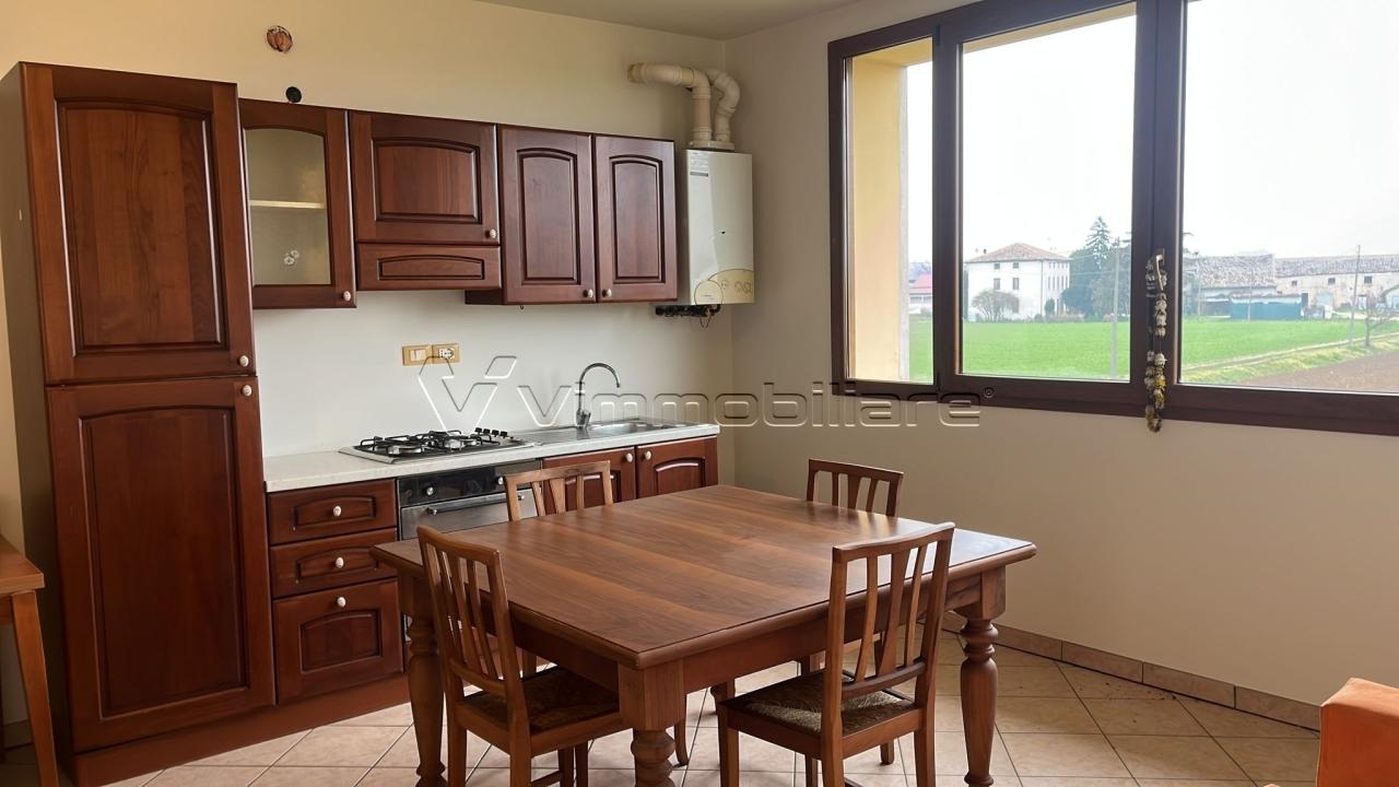 Affitto Bivani, Albettone Affitto Bivani, Albettone foto