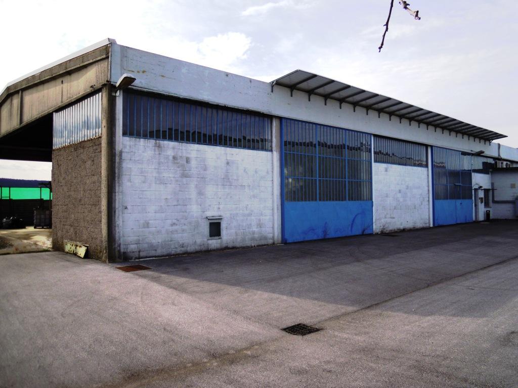 Affitto Terreno, Savogna d'Isonzo Affitto Terreno, Savogna d'Isonzo foto