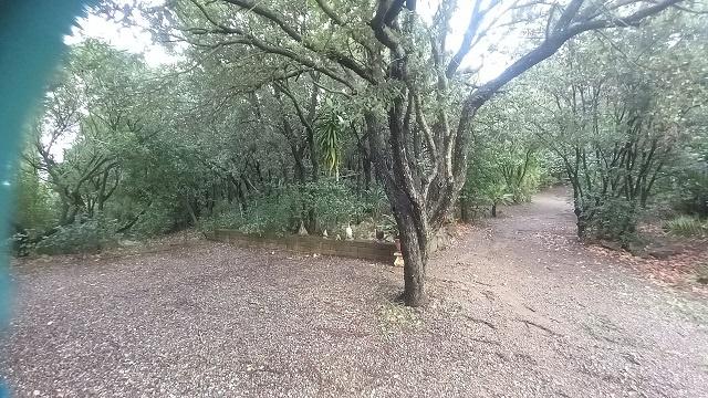 Vendita Altri immobili, Follonica foto