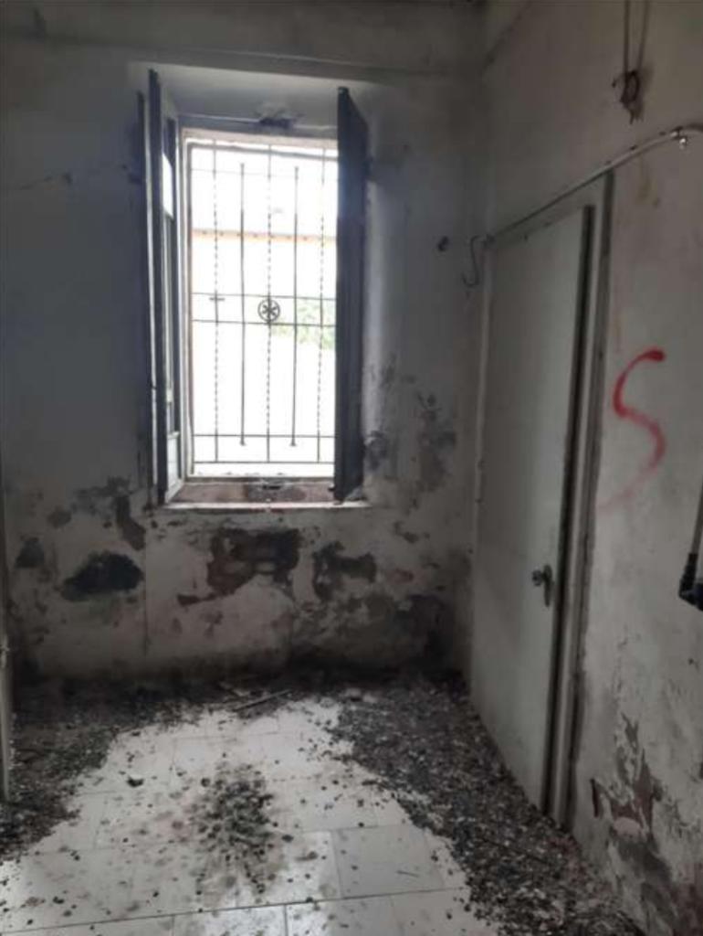 Vendita Multivani, Forli Vendita Multivani, Forli foto