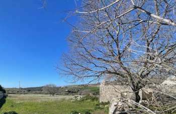 Vendita Bivani, Modica