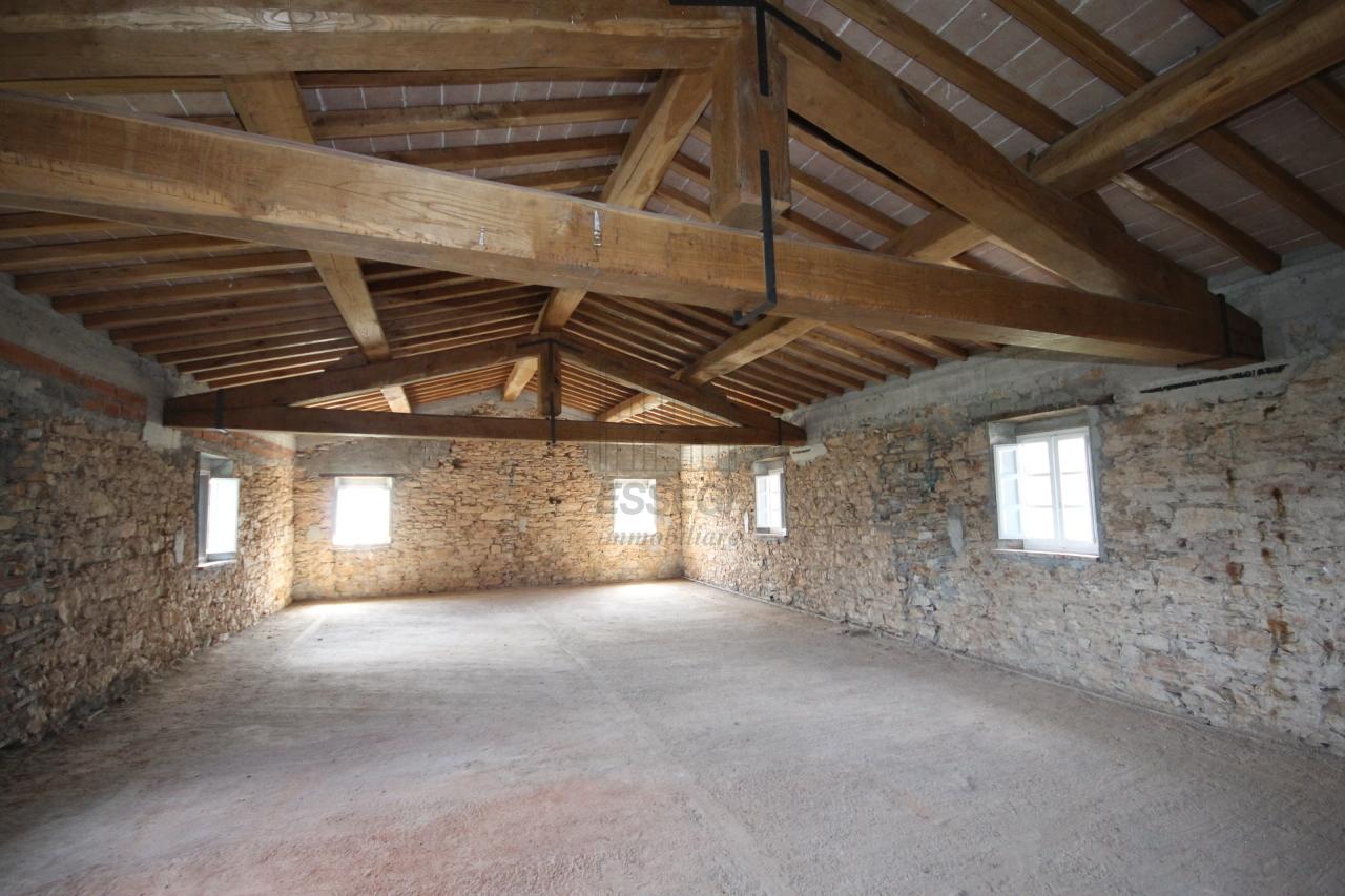 Vendita Multivani, Lucca Vendita Multivani, Lucca foto