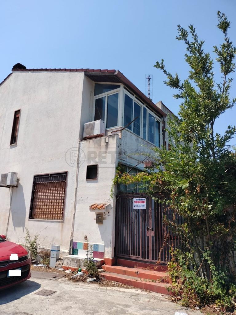 Vendita Trivani, Falcone foto