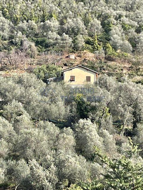 Vendita Quadrivani, Badalucco Vendita Quadrivani, Badalucco foto