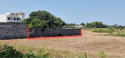 Vendita vendita, Novoli Vendita vendita, Novoli