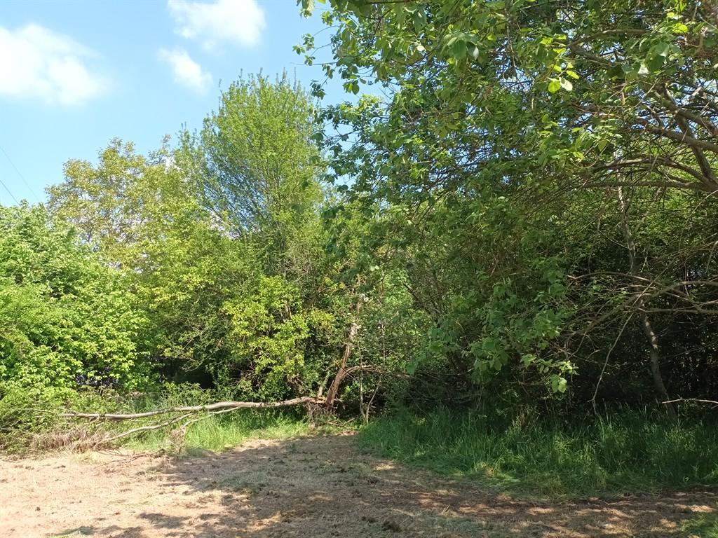 Vendita Terreno Residenziale, Vicoforte foto