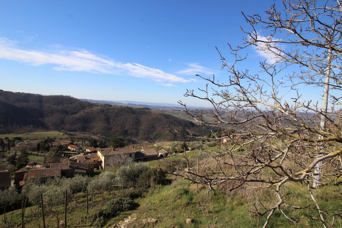 Vendita Rustico / Casale, Greve in Chianti foto