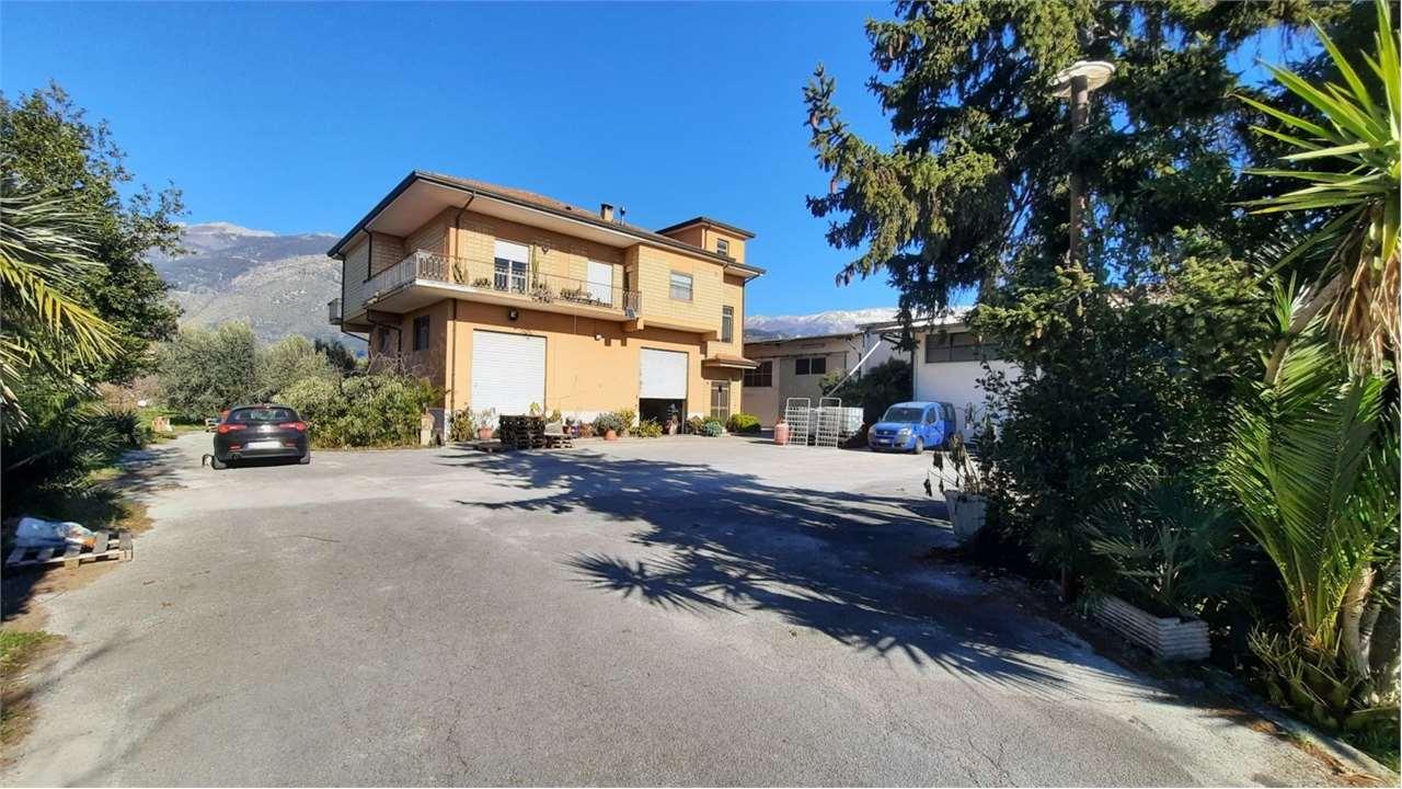 Affitto affitto, Sora foto