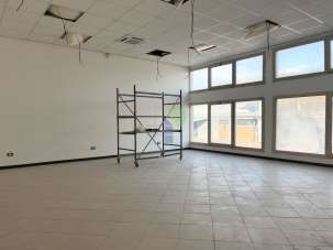 Affitto D, Livorno