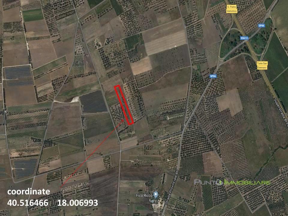 Vendita Loft, mansarde e attici, San Pietro Vernotico Vendita Loft, mansarde e attici, San Pietro Vernotico foto