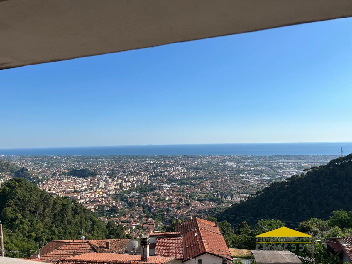 Vendita Pentavani, Massa foto