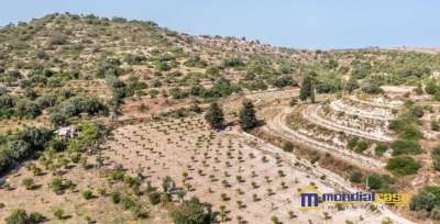 Vendita Loft, mansarde e attici, Avola Vendita Loft, mansarde e attici, Avola