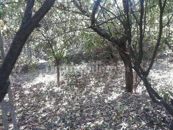 Vendita Loft, mansarde e attici, Napoli foto