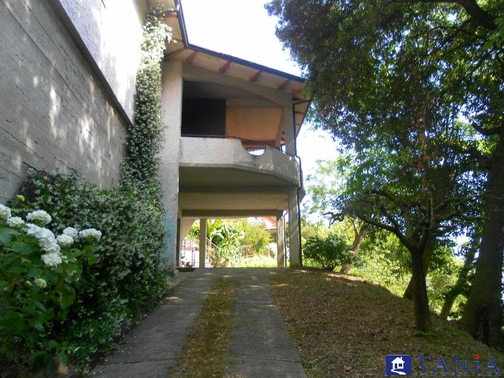 Vendita Eptavani, Carrara foto