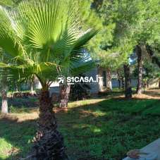 Vendita Loft, mansarde e attici, Galatone