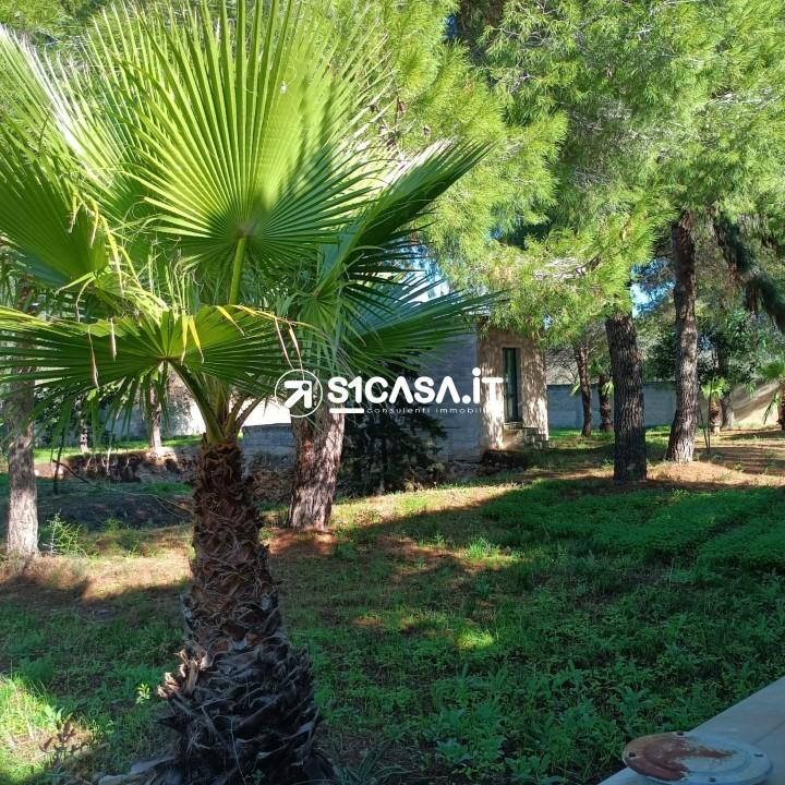 Vendita Loft, mansarde e attici, Galatone foto