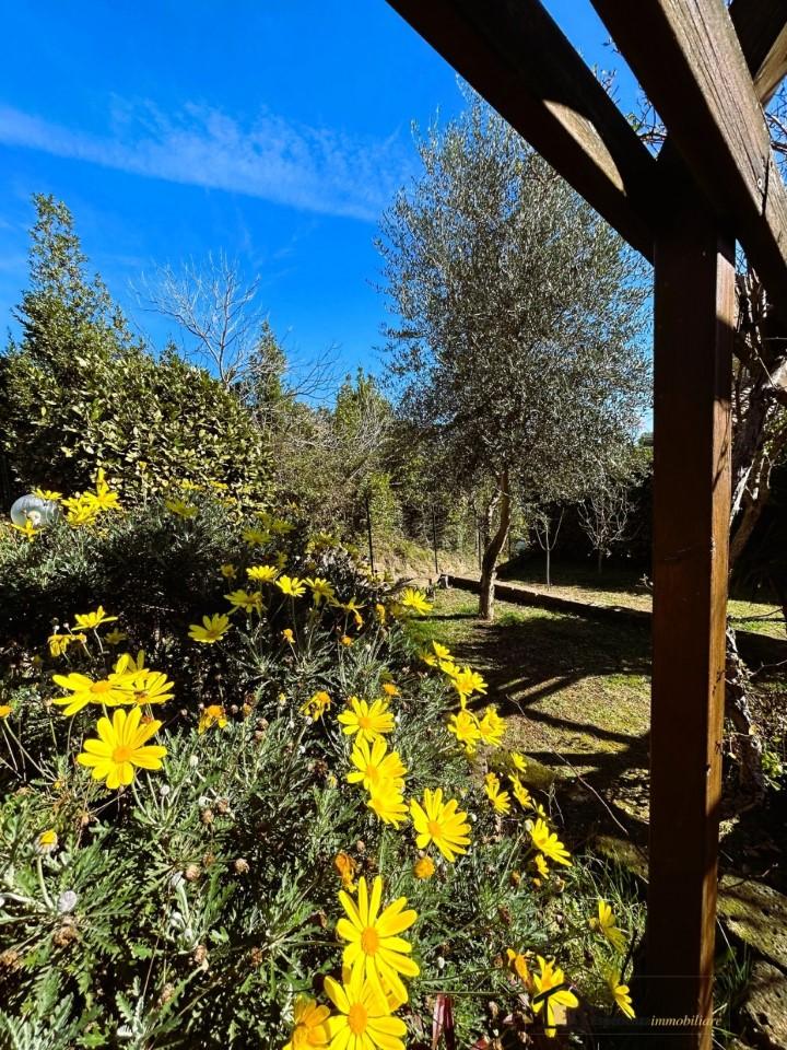 Vendita Pentavani, Castelnuovo di Porto foto