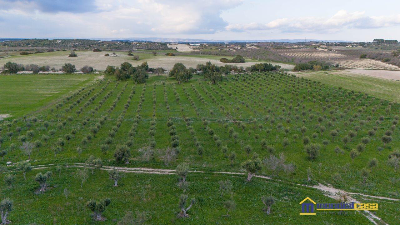 Vendita Loft, mansarde e attici, Noto foto