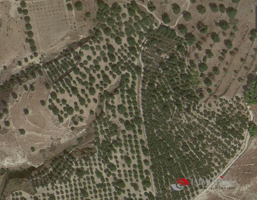 Vendita Locali commerciali, Melito di Porto Salvo foto