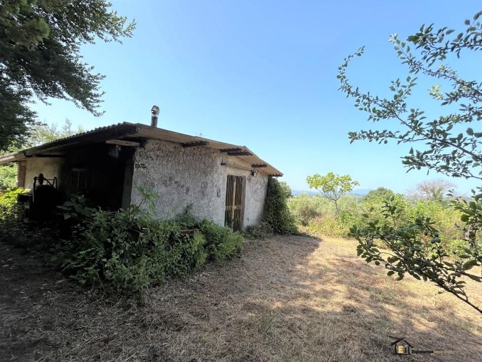 Vendita Monovano, Poggio Catino foto