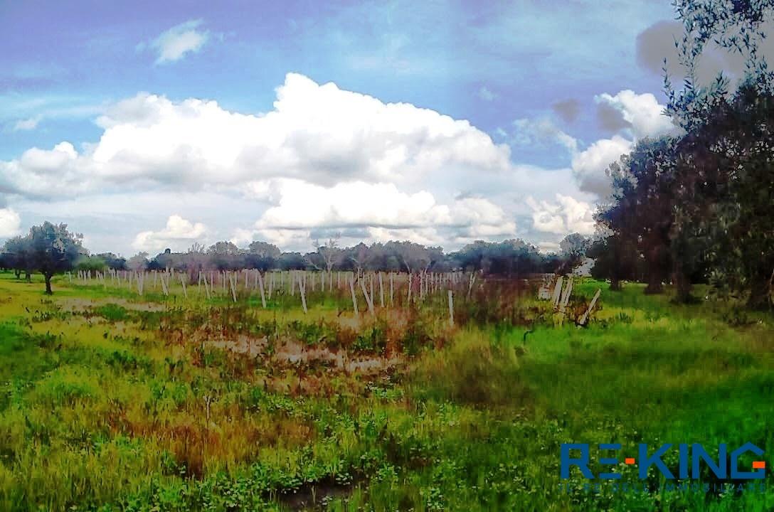 Vendita Loft, mansarde e attici, Matino foto