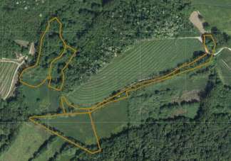 Vendita Monovano, Cividale del Friuli