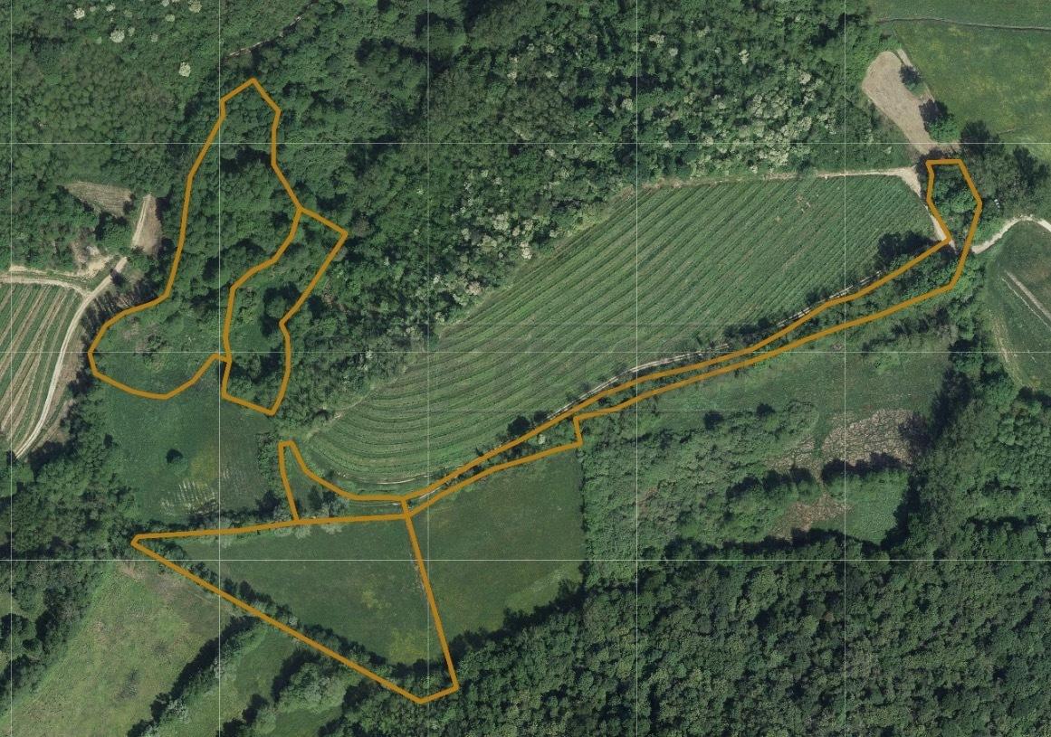 Vendita Monovano, Cividale del Friuli foto