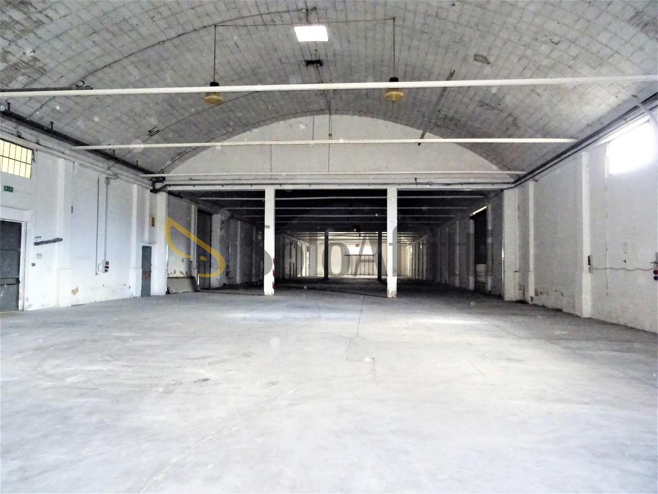 Affitto Monovano, Senigallia foto