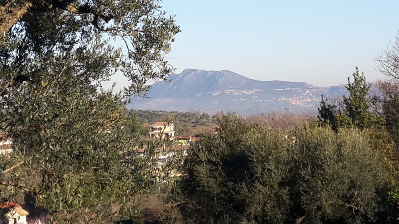 Vendita Monovano, Morlupo Vendita Monovano, Morlupo foto