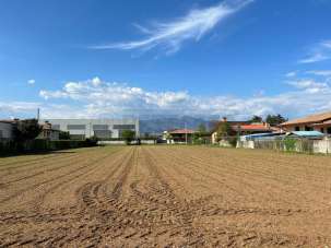Vendita Commerciale, Cassola