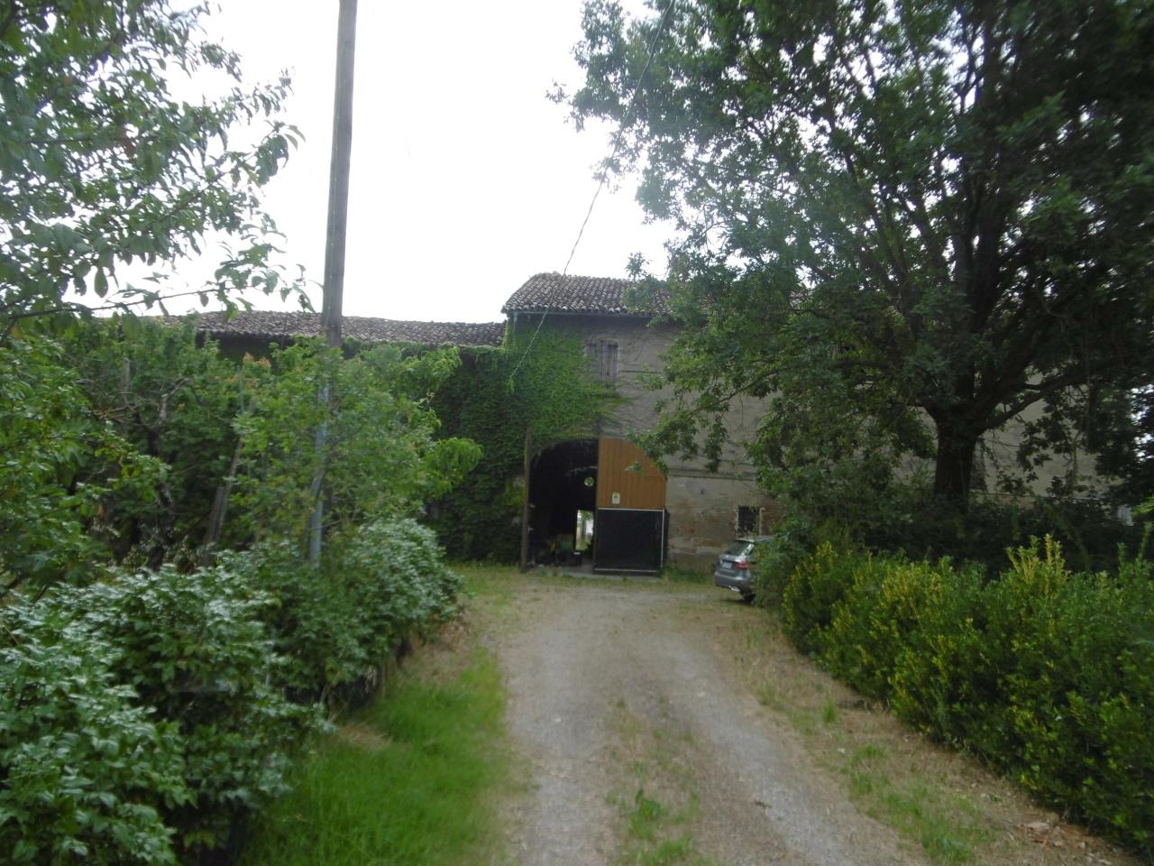 Vendita Terreni, Bagnolo in Piano Vendita Terreni, Bagnolo in Piano foto