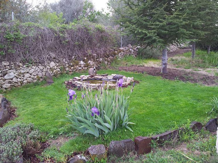 Vendita Terreni, Lucca Vendita Terreni, Lucca foto