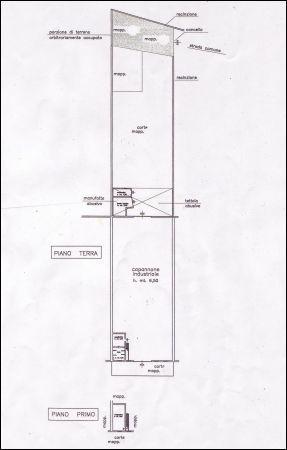 Affitto Monovano, Sarzana Affitto Monovano, Sarzana foto
