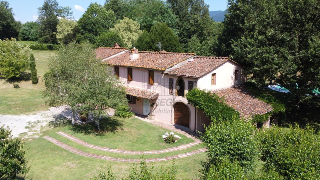 Vendita Multivani, Lucca foto