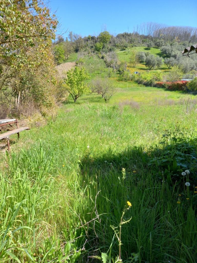 Vendita Monovano, Monterotondo Vendita Monovano, Monterotondo foto