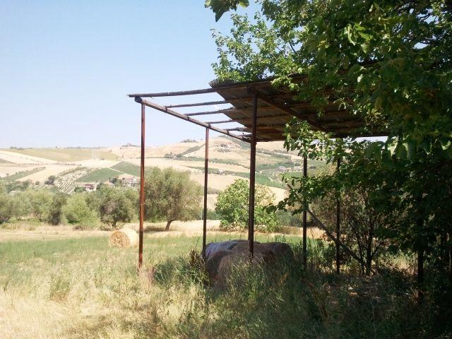 Vendita Multivani, Offida foto