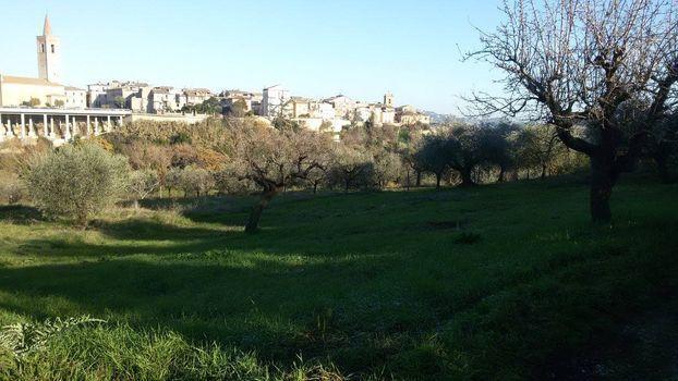Vendita Monovano, Appignano del Tronto foto