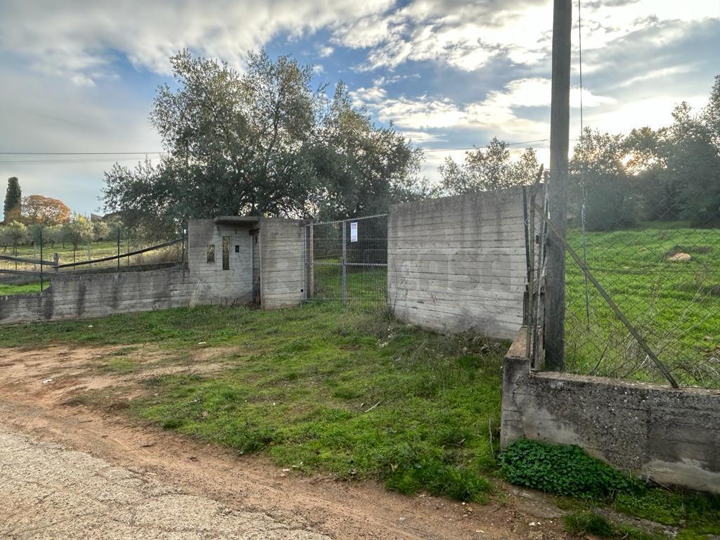 Vendita Terreni, Caltanissetta foto