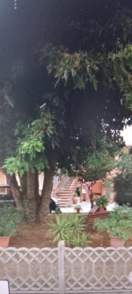 Affitto Pentavani, Sarzana foto