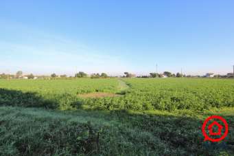 Vendita Monovano, Cesena Vendita Monovano, Cesena