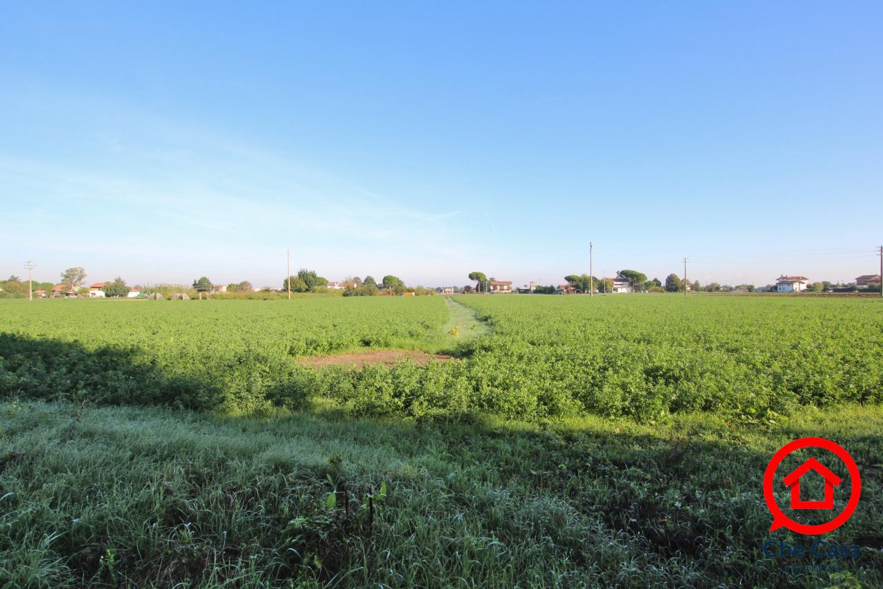 Vendita Monovano, Cesena Vendita Monovano, Cesena foto