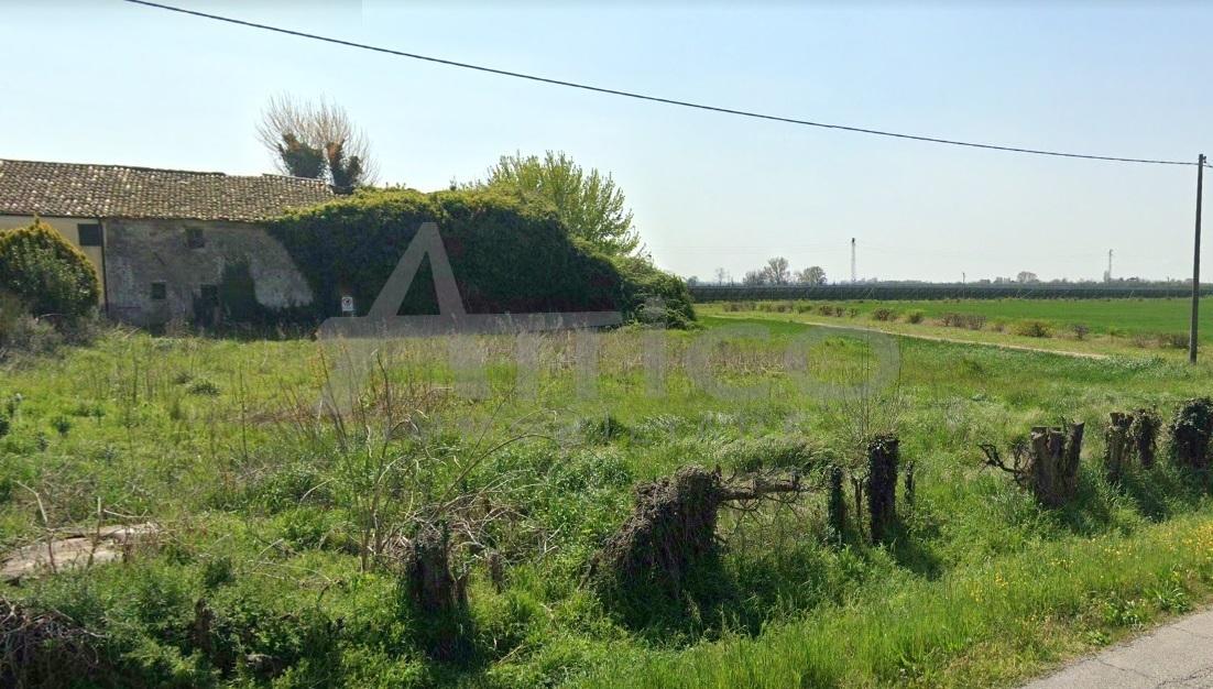 Vendita Multivani, Rovigo foto