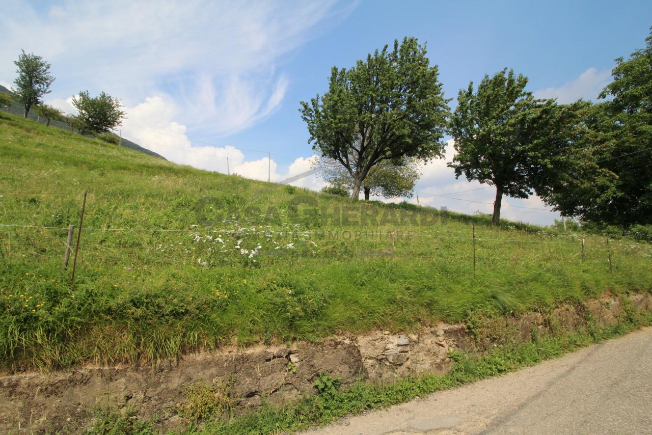 Vendita Terreni, Almenno San Bartolomeo foto