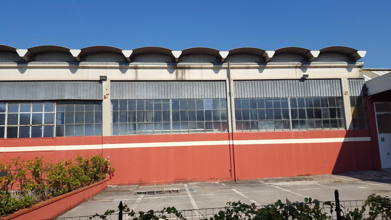 Vendita Multivani, Massa Vendita Multivani, Massa foto