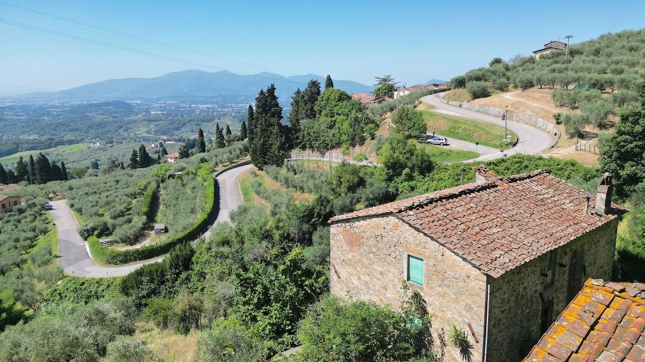 Vendita Multivani, Lucca foto