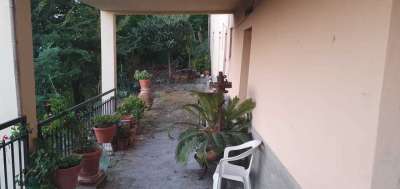 Vendita Trivani, Vezzano Ligure